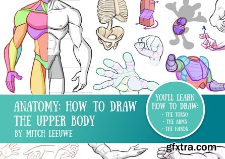 How to Draw Mitch Leeuwe Collection