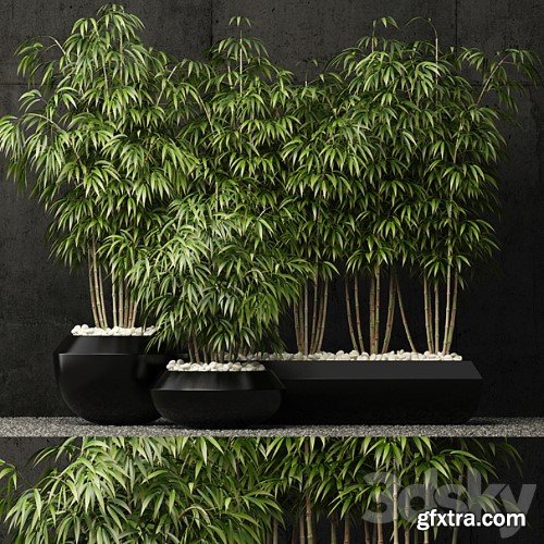 3dsky Pro - Plants collection 66