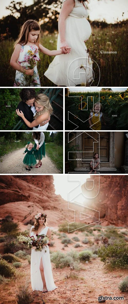 Twig &amp; Olive - Harvest Matte