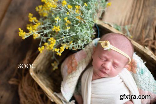 Twig &amp; Olive - Rustic Matte Vol. 2