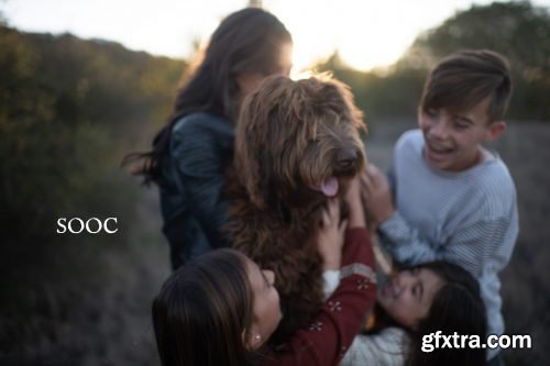 Twig &amp; Olive - Rustic Matte Vol. 2