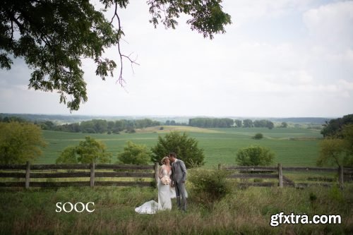 Twig &amp; Olive - Rustic Matte Vol. 2