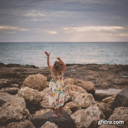 Twig &amp; Olive - Sweet Light