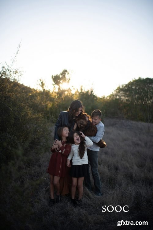 Twig &amp; Olive - Sweet Light