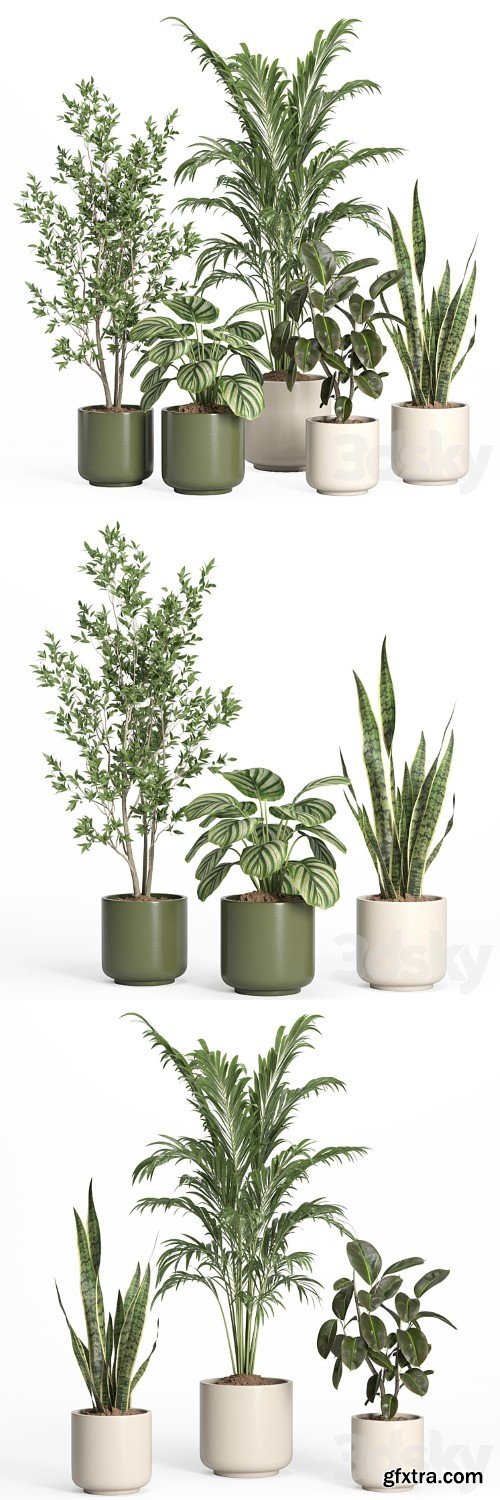 3dsky Pro - indoor plant set 56- ceramic pot