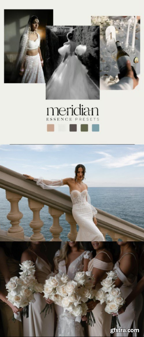 Meridian Presets - Essence Presets