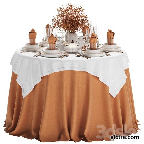 3dsky Pro - Table setting 03