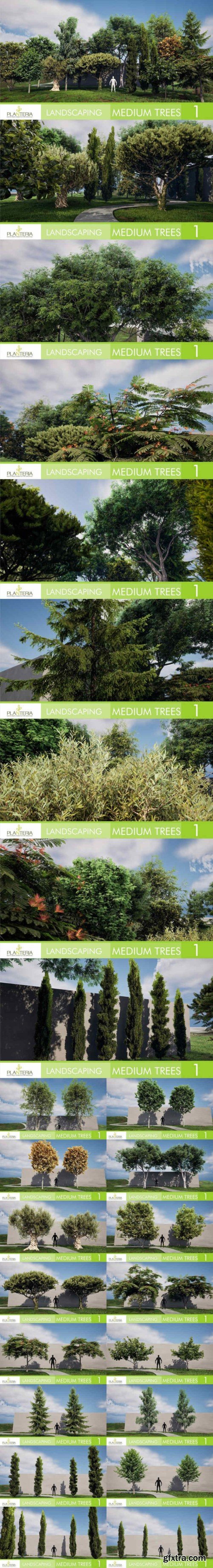 Fab - Unreal Engine - Landscaping Medium Trees Vol. 1