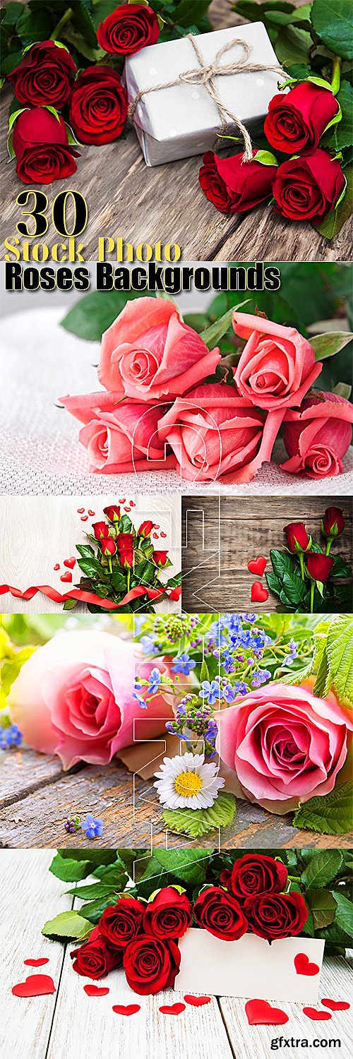 Roses, romantic backgrounds with flowers stock photo set