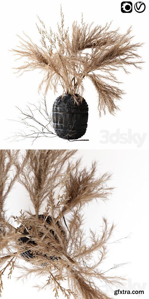 3dsky Pro - Brown pampas