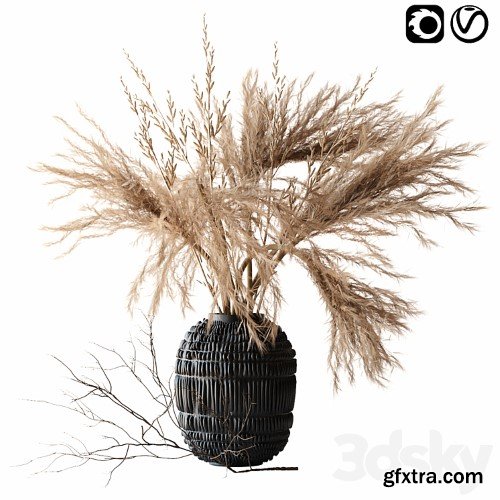 3dsky Pro - Brown pampas