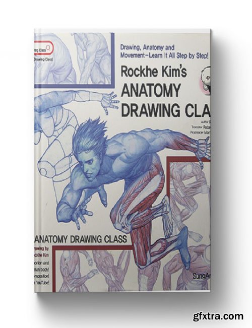 Drawing Class Human Body Drawing