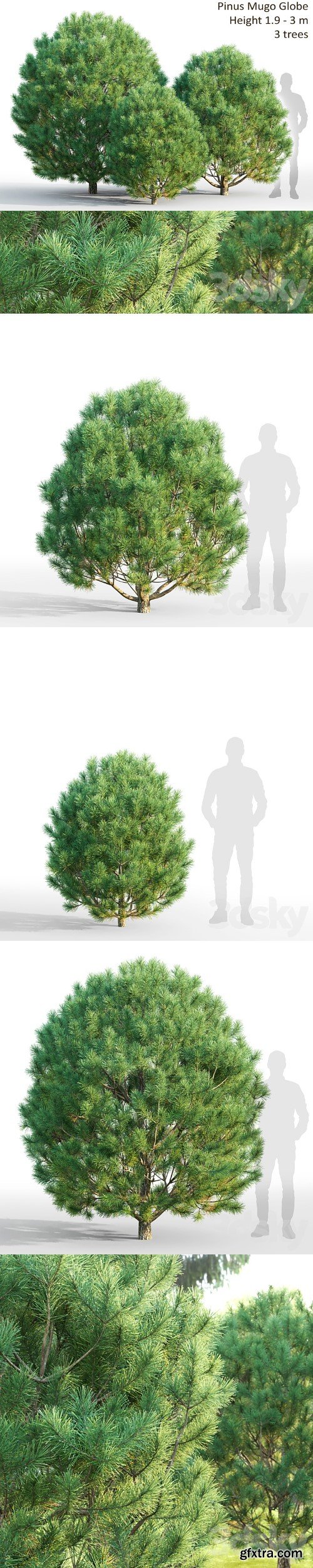 3dsky Pro - Pine 3dsky Pro - Pine