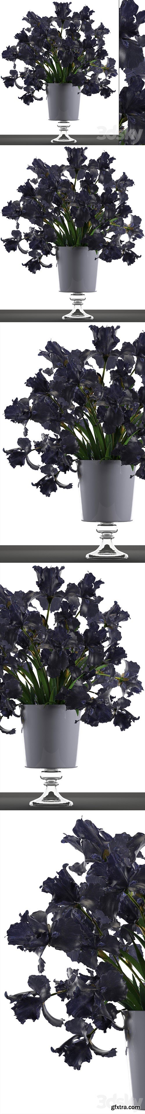 3dsky Pro - Collection of flowers 46. Black Irises. Black Irises, vase, table decor, luxury
