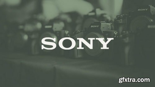 GAMUT - Sony BaseLUTs for S-Log3 / S-Log2 V1.1 (UPDATED)