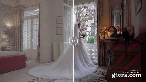 GAMUT - Sony BaseLUTs for S-Log3 / S-Log2 V1.1 (UPDATED)