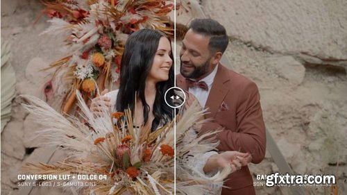 GAMUT - Sony BaseLUTs for S-Log3 / S-Log2 V1.1 (UPDATED)