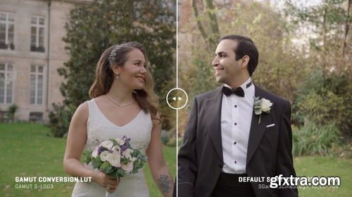 GAMUT - Sony BaseLUTs for S-Log3 / S-Log2 V1.1 (UPDATED)