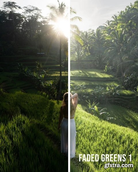 Jaxon Roberts - Paradise Preset Pack