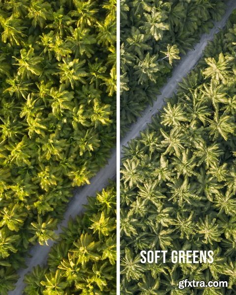 Jaxon Roberts - Paradise Preset Pack