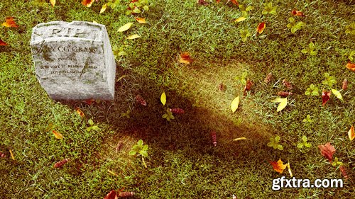 CGCookie - Creating Grass in Blender CGCookie - Creating Grass in Blender