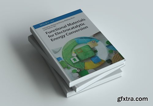 Functional Materials for Electrocatalytic Energy Conversion