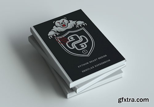 Mastering Regular Expressions in Python