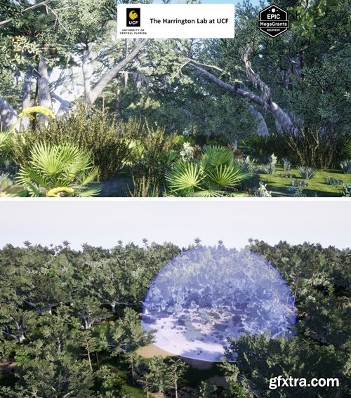 FAB - Xeric Hammock Habitat Brush v5.3 FAB - Xeric Hammock Habitat Brush v5.3