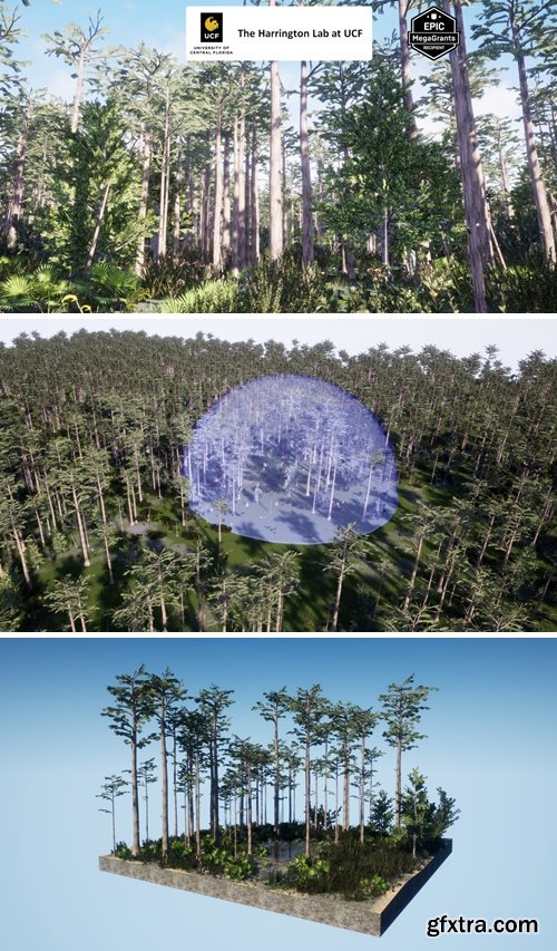 FAB - Dome Swamp Habitat Brush v5.3