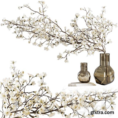 3dsky Pro - Blooming branch in a vase