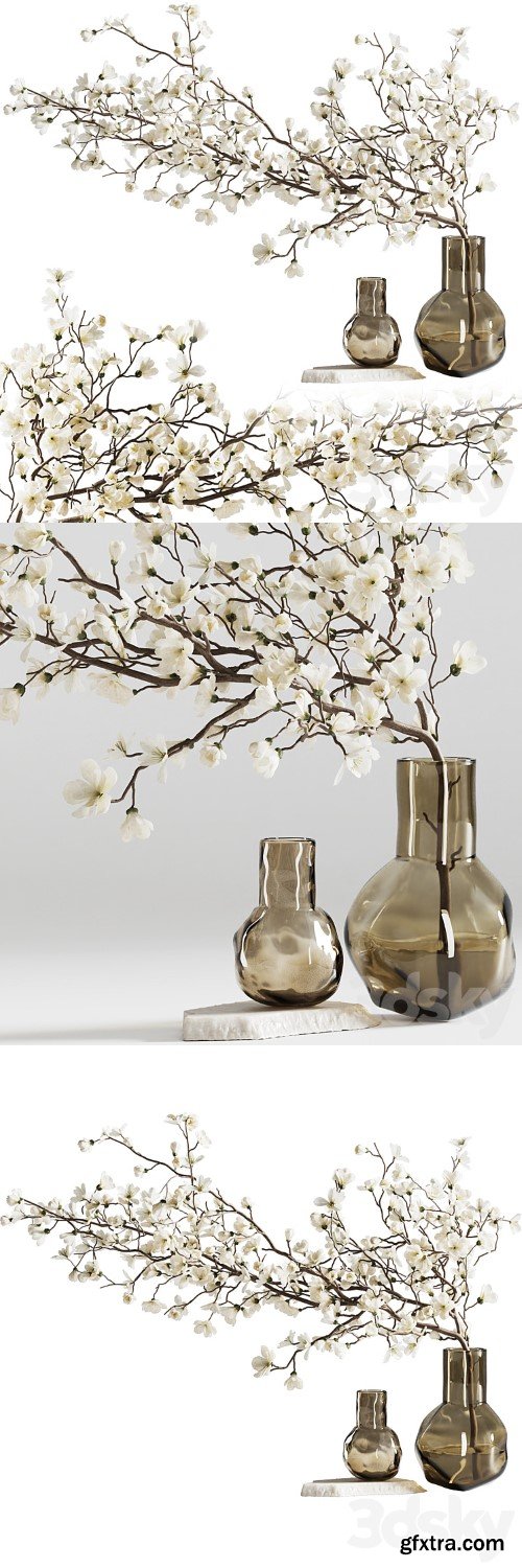 3dsky Pro - Blooming branch in a vase