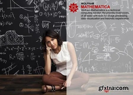 Wolfram Research WOLFRAM 14.2