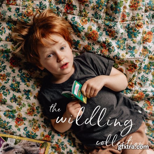 Memory Catchers - The Wildling Collection