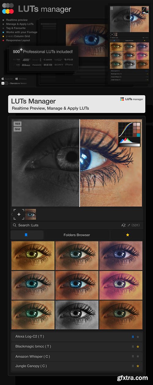 Videohive - LUTs Manager: Real-Time Bulk Previews Tool &amp; 500 LUTs for Effortless Professional Color Grading - 55741724