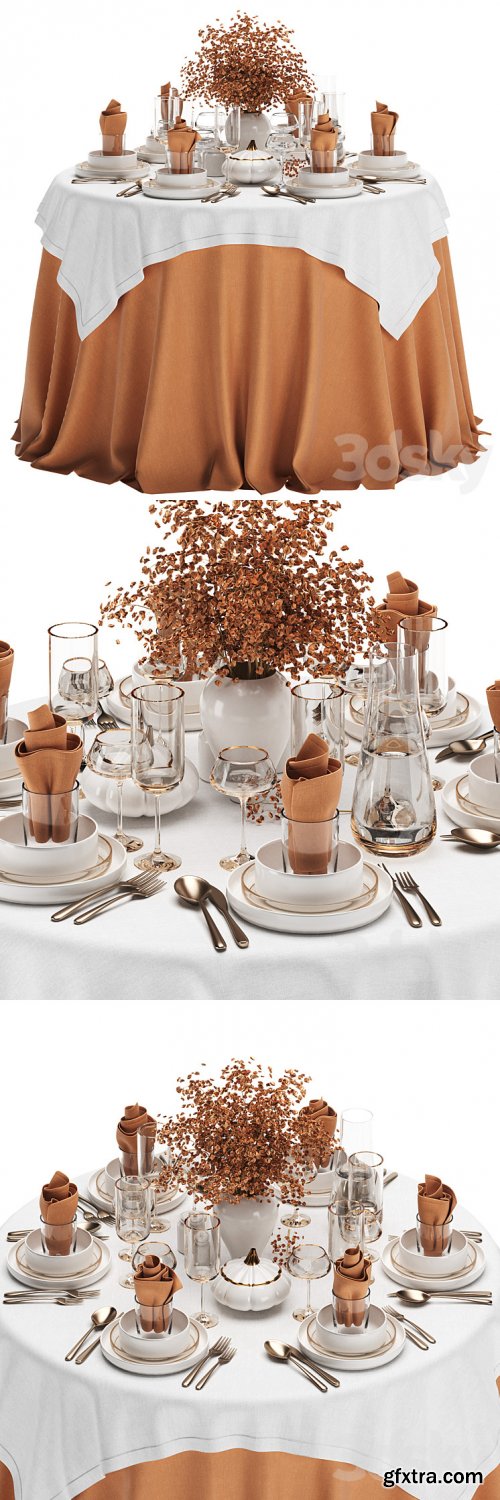 3dsky Pro - Table setting 03