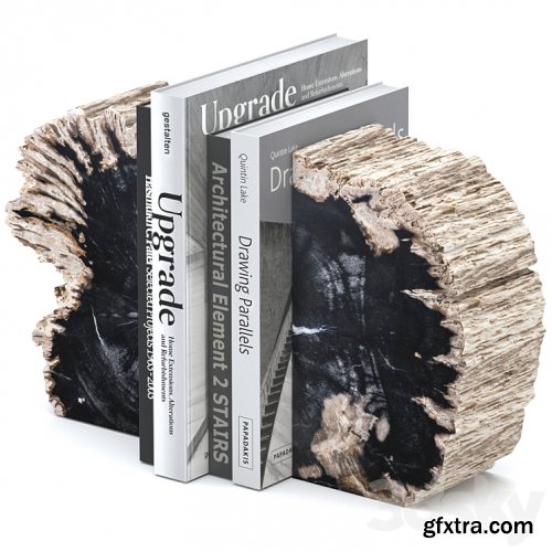 3dsky Pro - Bookend opia