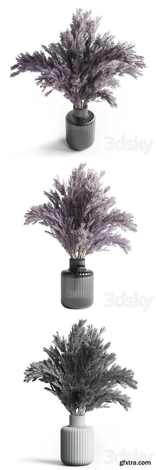 3dsky Pro - bouquet dry lavender vase glass