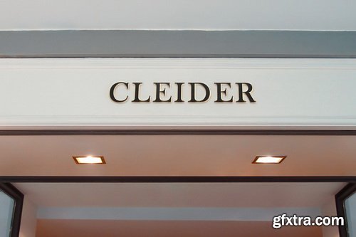 Asylab - 50 Signs &amp; Facade Logo Mockups - V1