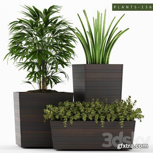 3dsky Pro - PLANTS 136