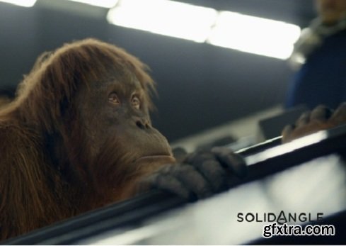 Arnold for Maya 5.4.7.1 (2023-2025) [Mac,Linux Arnold for Maya 5.4.7.1 (2023-2025) [Mac,Linux