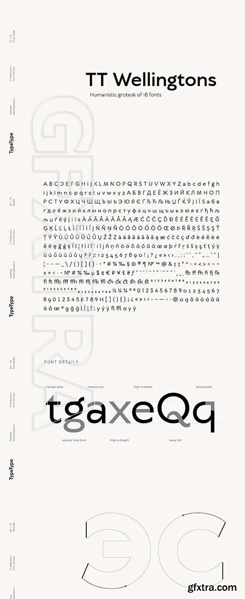 CreativeMarket - TT Wellingtons - 2168136