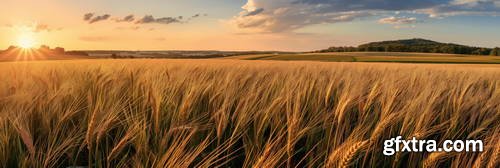 Wide Angel Agricultural Landscapes 39xJPG
