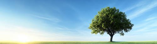 Wide Angel Agricultural Landscapes 39xJPG