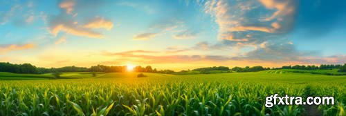 Wide Angel Agricultural Landscapes 39xJPG