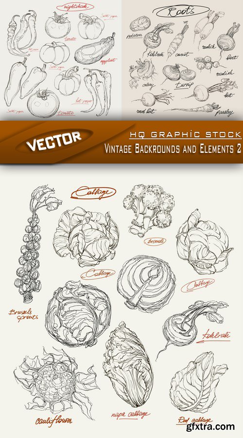 Stock Vector - Vintage Backrounds and Elements 2