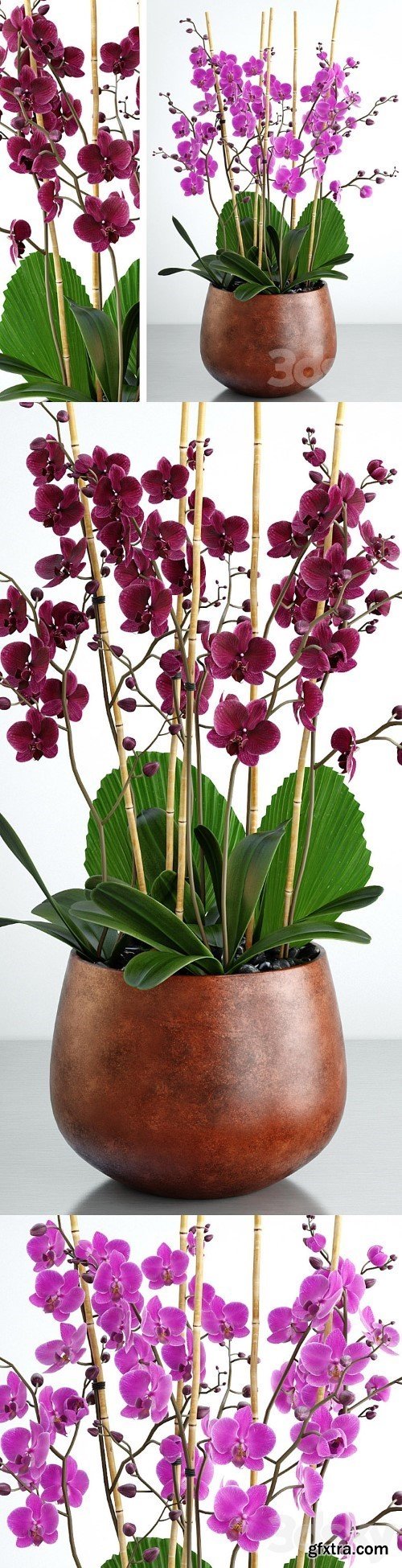 3dsky Pro - Orchid 7