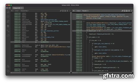 Vector 35 Binary Ninja 5.1.8104 Personal Vector 35 Binary Ninja 5.1.8104 Personal
