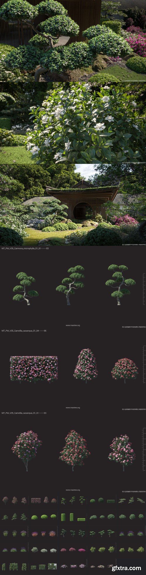 Maxtree - Plant Models Vol 35