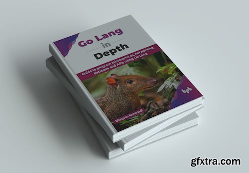 Go Lang in Depth: Guide to program microservices, networking, database and APIs using Go Lang
