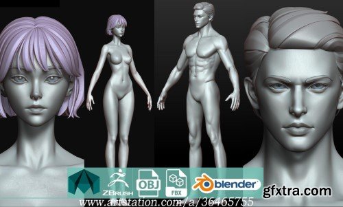 Artstation - Fantasy Female and Male Body